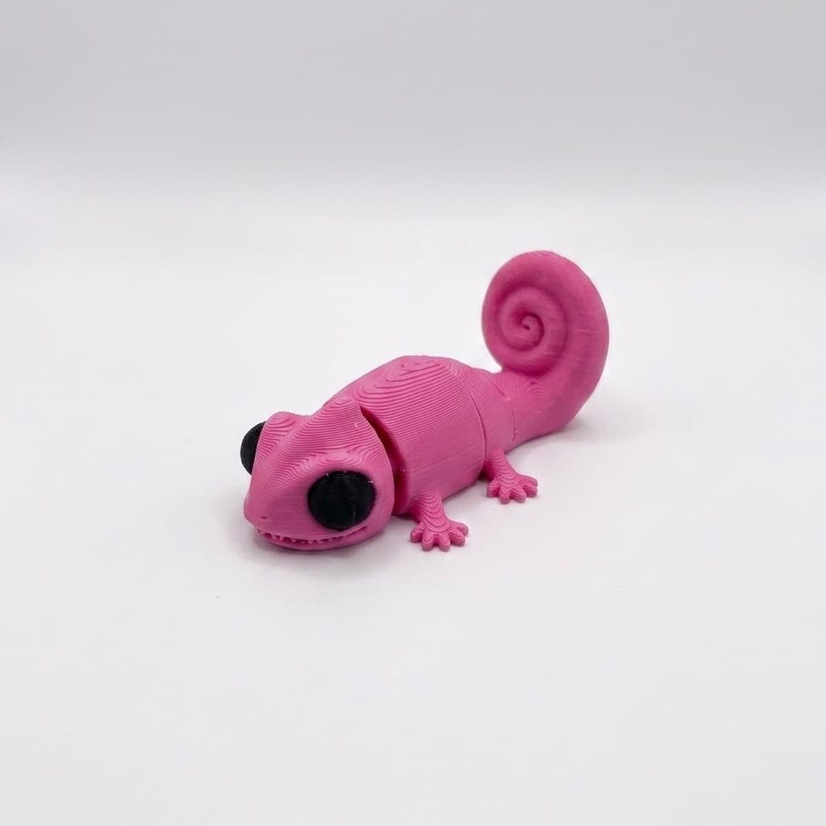 Pocket Chameleon